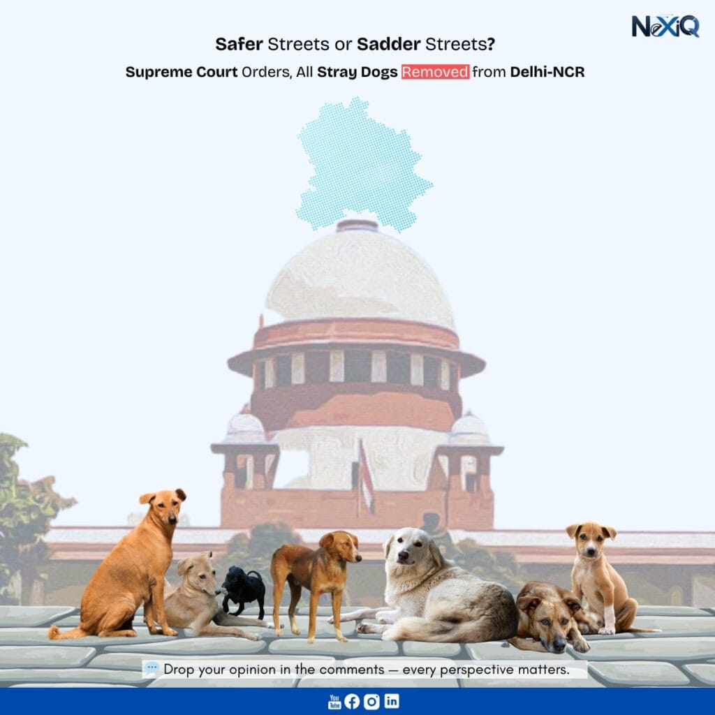 delhi ncr